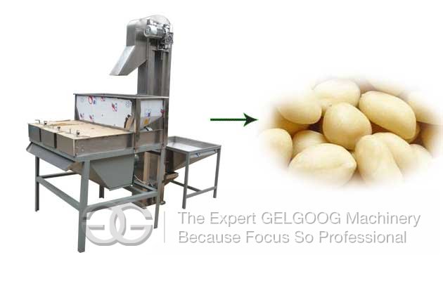 Peanut Skin Removing Machine|Peanut Kernels Separating Machine
