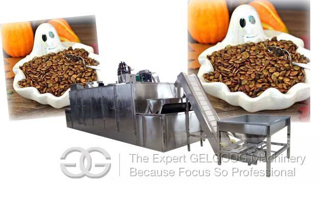 Pumpkin Seed Roasting Machine Manufacturer