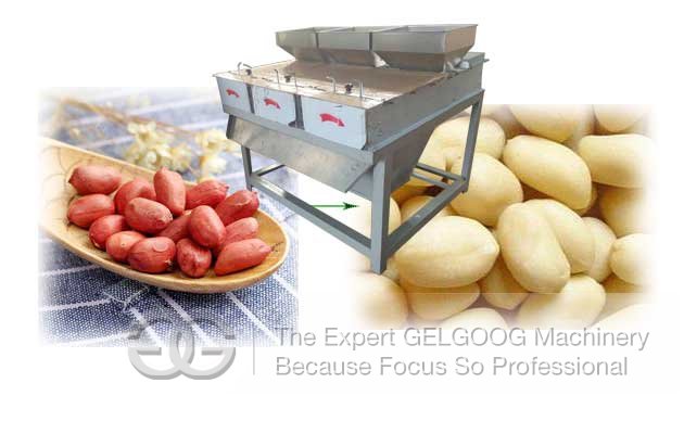 Groundnut Peeling Machine Cost