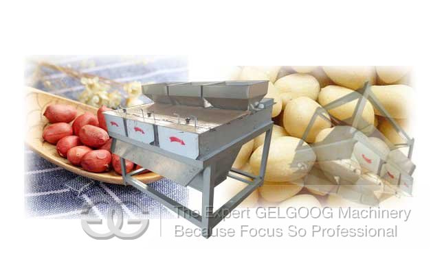 Groundnut Peeling Machine Cost