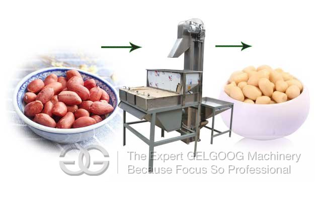 Groundnut Peeling Machine Cost