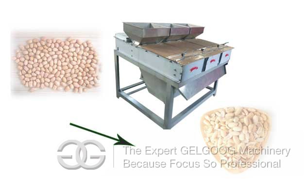 Groundnut Peeling Machine Cost